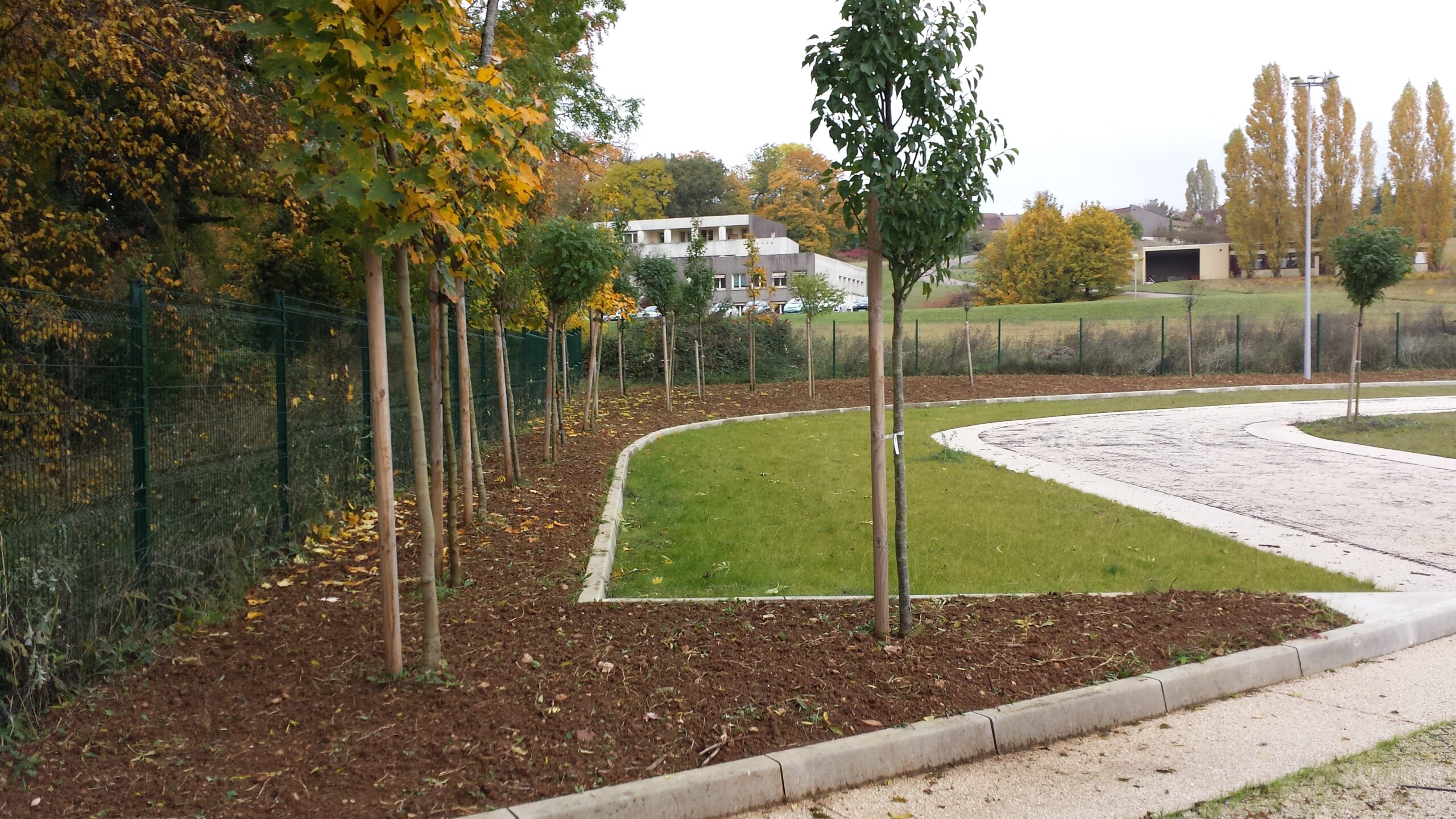 Parking végétalisé - Duc et préneuf