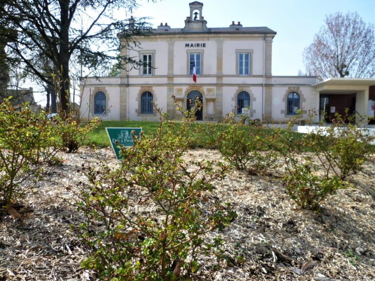 Parvis Mairie Longvic