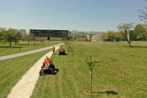 Entretien des surfaces engazonnées
