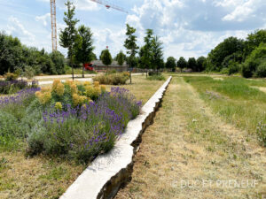 Gestion différenciée