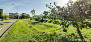 Université de bourgogne 2