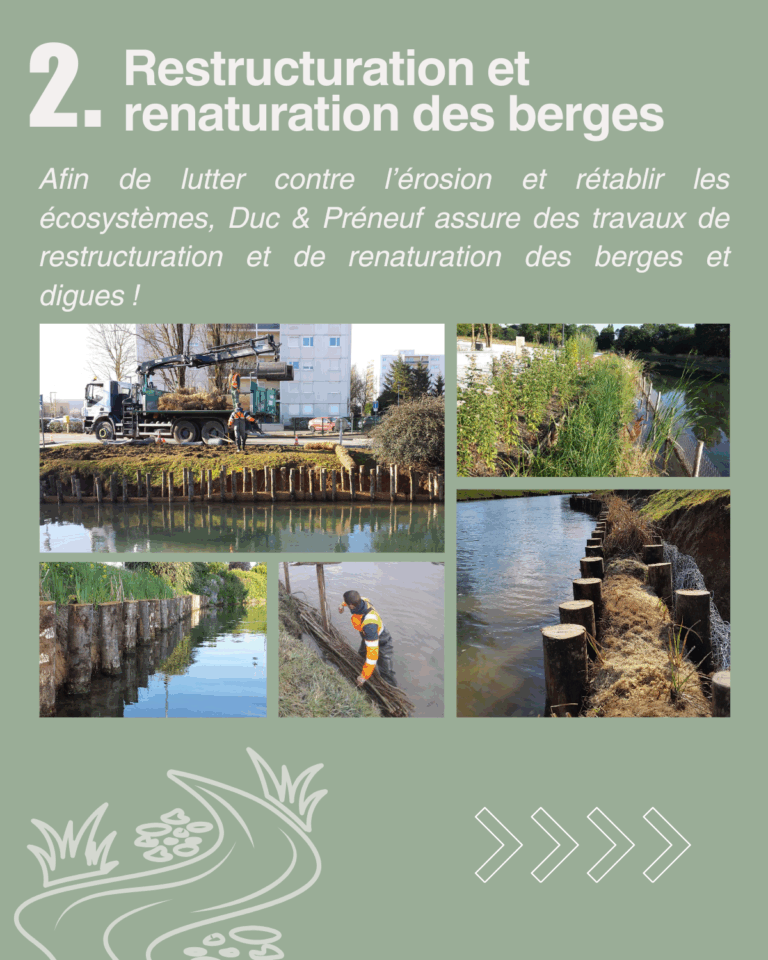 Renaturation des berges
