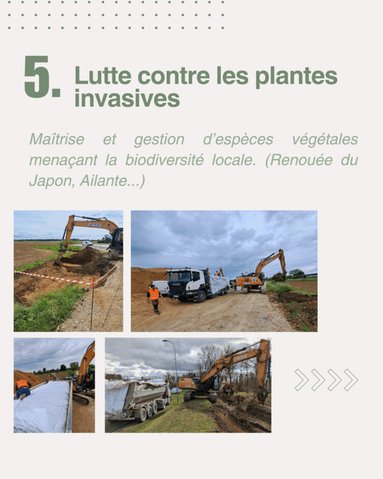 Lutte contre les plantes invasives