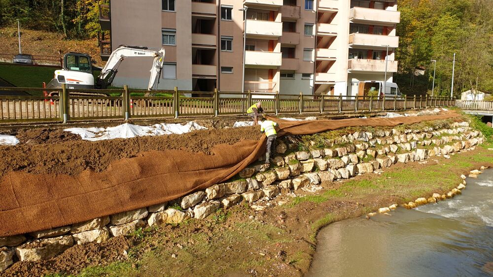 Salins_les_bains_mixte_minéral_végétal