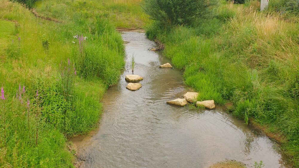 Travaux_de_préservation_biodiversité_-Duc___Préneuf